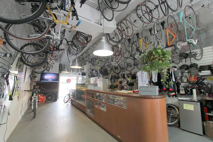 Willie’s Bicycle Picture 1