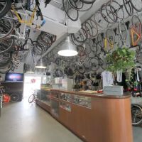 Willie’s Bicycle ico