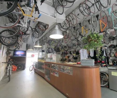 Willie’s Bicycle