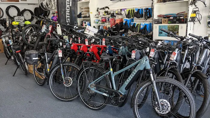 Miami Bikes Electric Bicycle Shop Picture 4