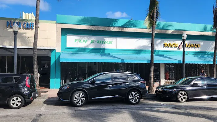 Fly E-Bike Miami Picture 4