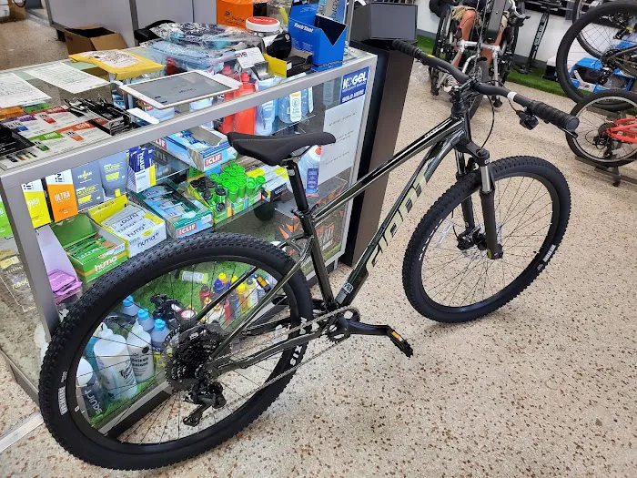 Miami Bicycles and Repair Picture 9