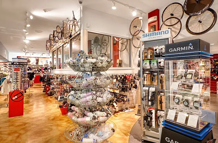 Cycle World Picture 9
