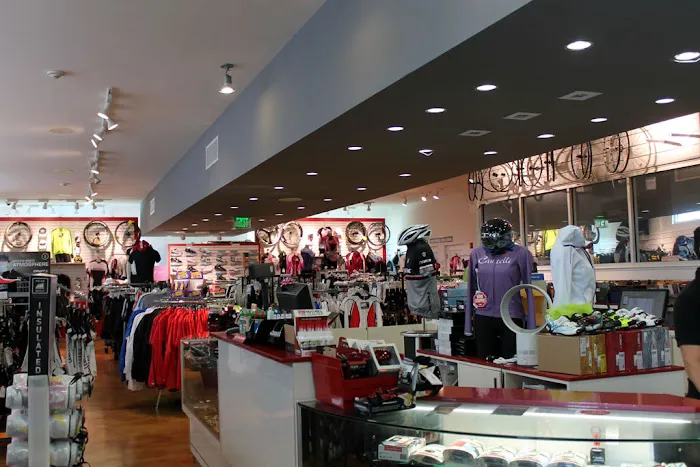 Cycle World Picture 3