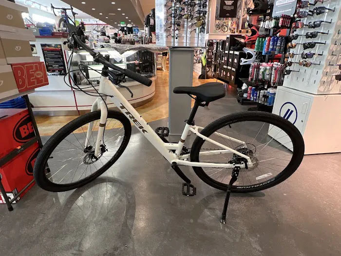 Cycle World Picture 4