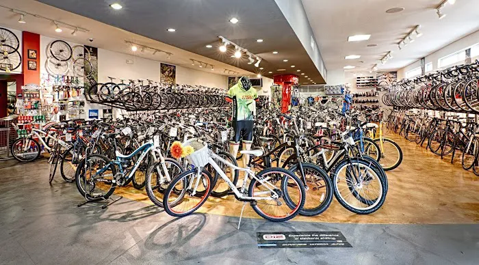Cycle World Picture 1