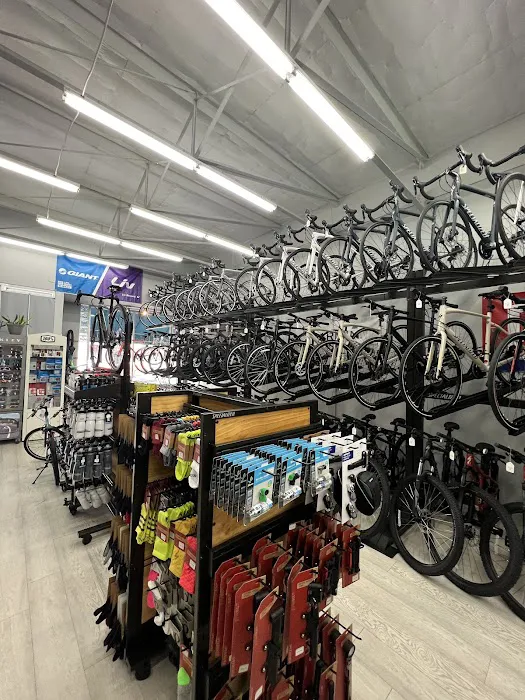 JB BIKE SHOP MB Picture 8