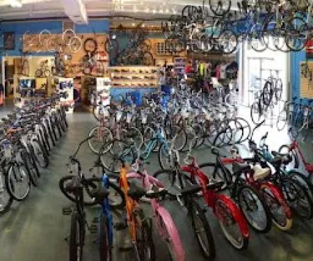Elite Cycling & Fitness