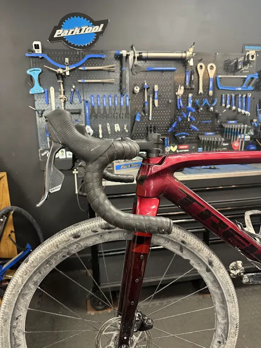 Alpha Bike Shop Picture 9