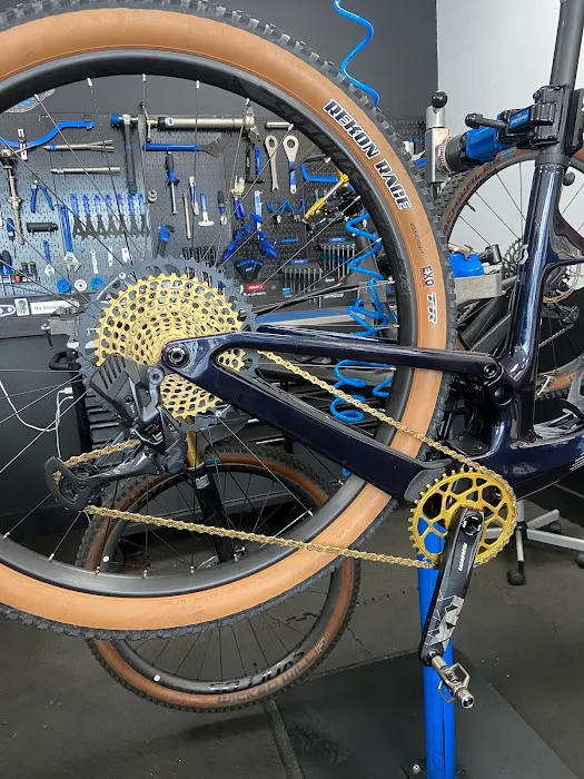 Alpha Bike Shop Picture 10