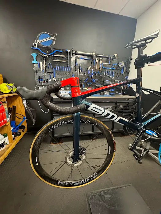 Alpha Bike Shop Picture 6