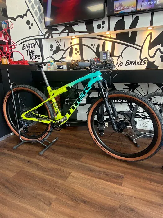 Alpha Bike Shop Picture 4
