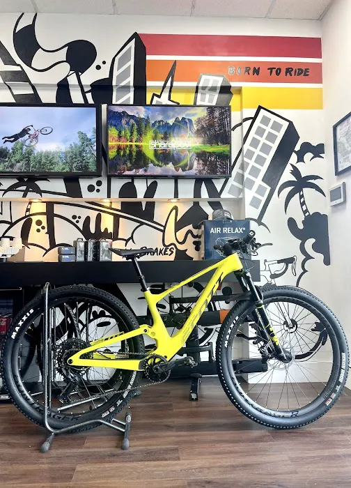 Alpha Bike Shop Picture 7