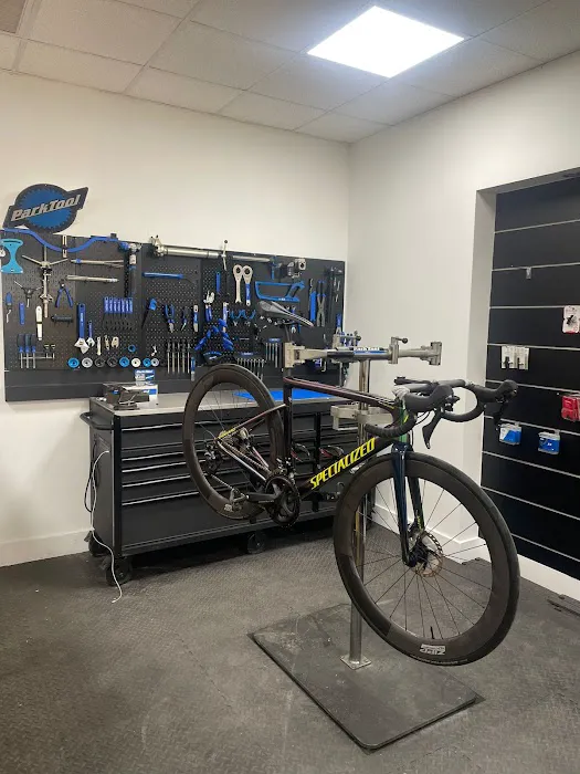 Alpha Bike Shop Picture 1