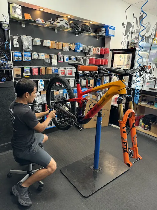 Alpha Bike Shop Picture 8
