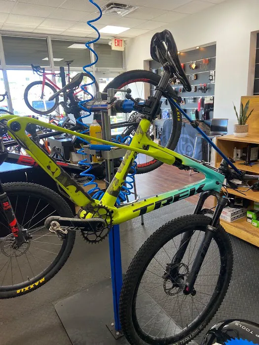 Alpha Bike Shop Picture 3