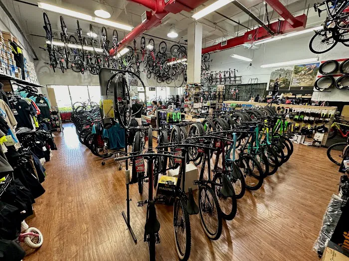 RB Cycles Picture 9