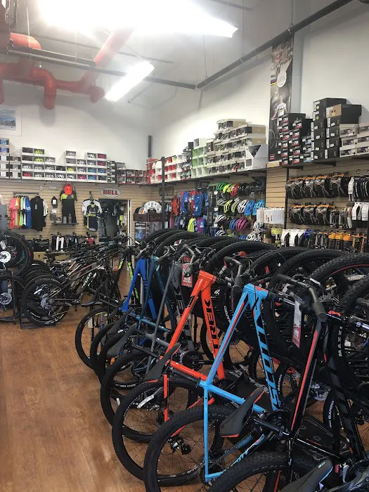 RB Cycles Picture 3
