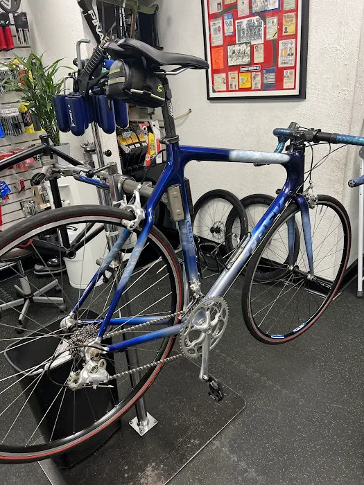 Friendly Cycle Picture 5