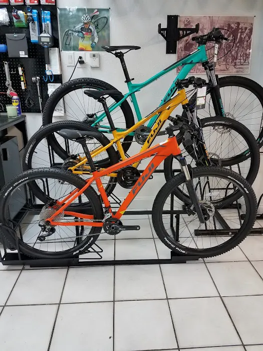 Friendly Cycle Picture 10