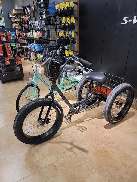 Miami Bikes and Repair Picture 2
