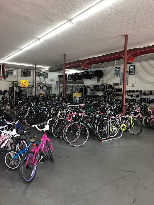 Miami Bikes and Repair Picture 7