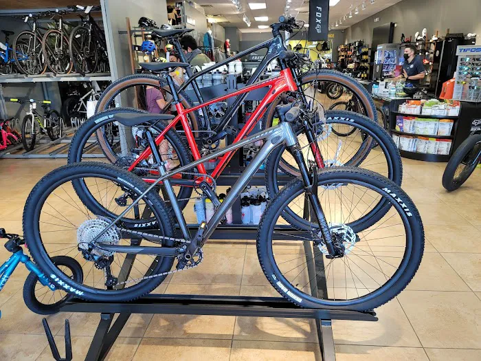 Miami Bikes and Repair Picture 8