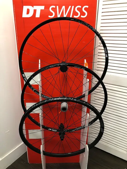 NEXGEN CYCLE Picture 7