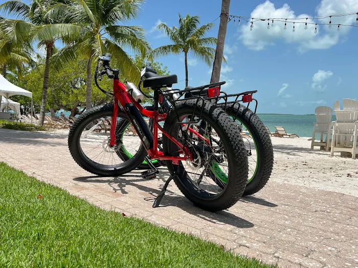 Electric Bikes Max, Electric Bicycles Store Picture 7