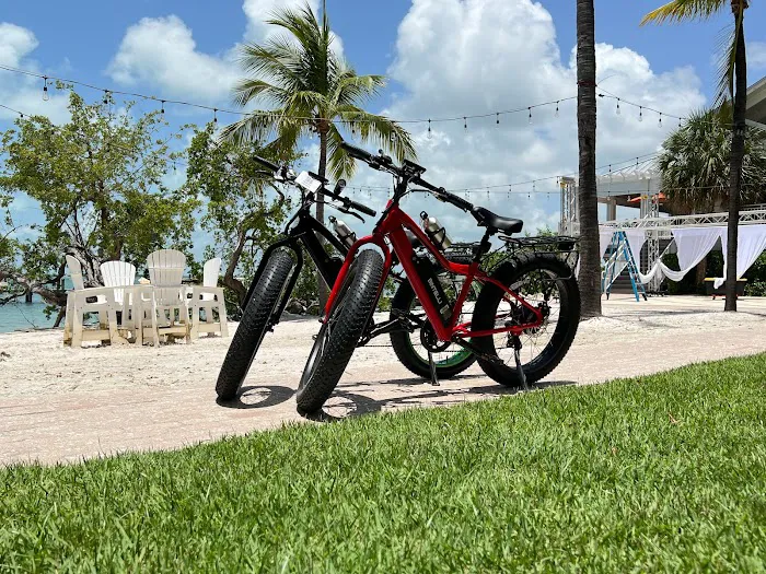 Electric Bikes Max, Electric Bicycles Store Picture 2