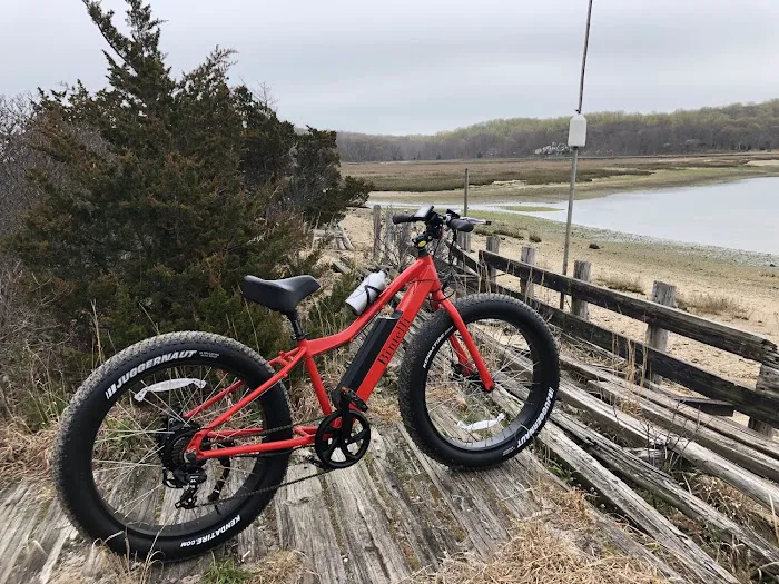 Electric Bikes Max, Electric Bicycles Store Picture 6