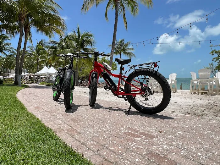 Electric Bikes Max, Electric Bicycles Store Picture 10