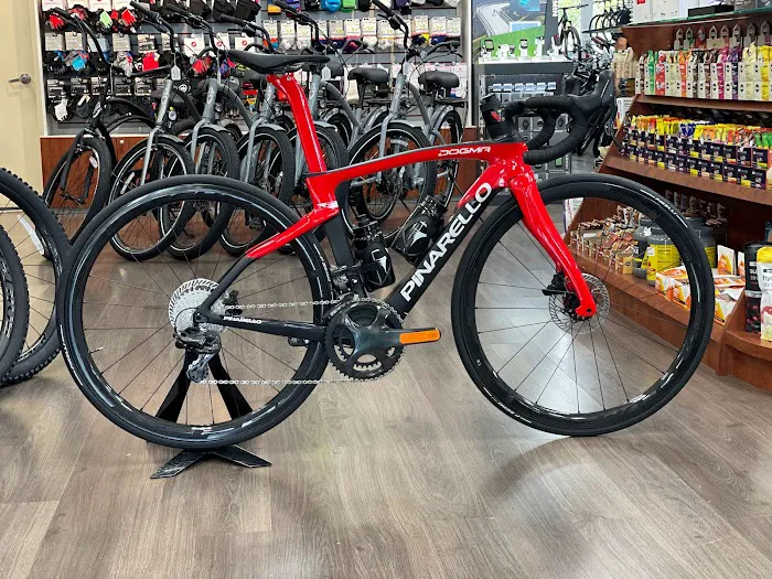 City Bikes Aventura Picture 6