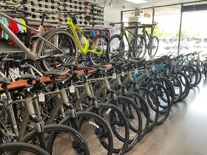 City Bikes Aventura Picture 5