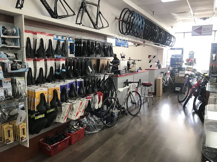 City Bikes Aventura Picture 3