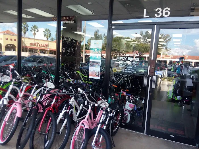 City Bikes Aventura Picture 4