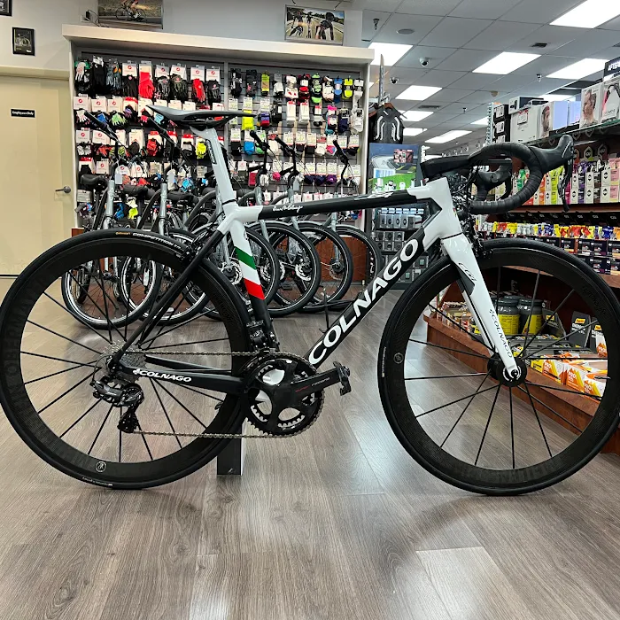 City Bikes Aventura Picture 10