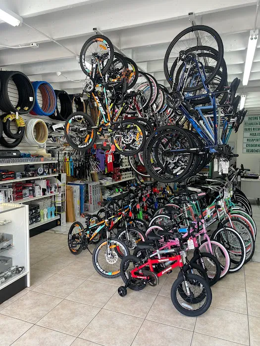 Bike Fernandez Picture 7