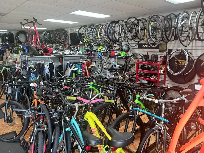 Andante Bicycle Shop Picture 8
