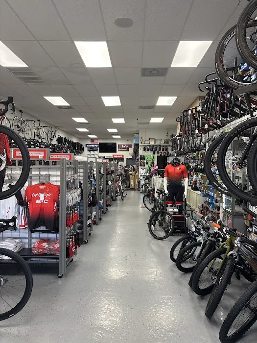 88 Cycling Picture 4