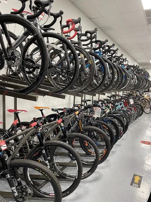 88 Cycling Picture 5