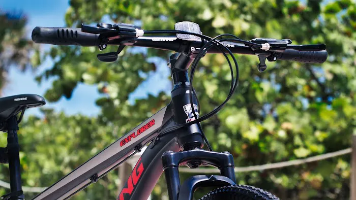 WolfKing Bike Picture 3