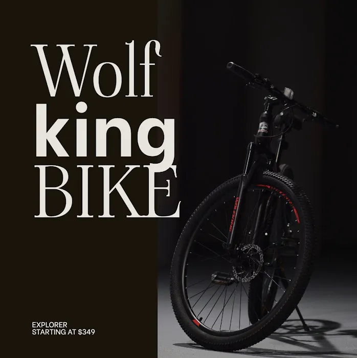 WolfKing Bike Picture 4