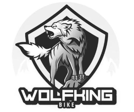WolfKing Bike