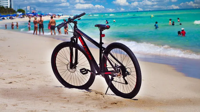 WolfKing Bike Picture 2