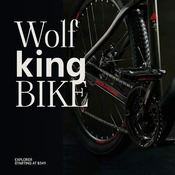 WolfKing Bike Picture 5