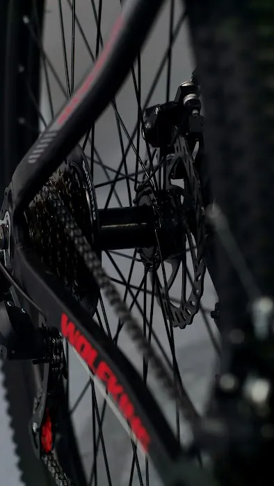WolfKing Bike Picture 7