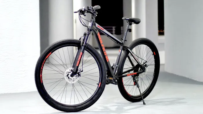WolfKing Bike Picture 6