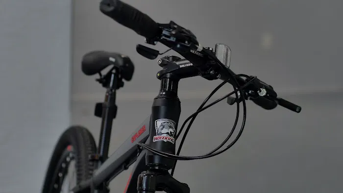 WolfKing Bike Picture 8