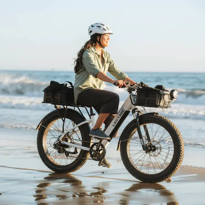 Meca Ebikes Picture 8